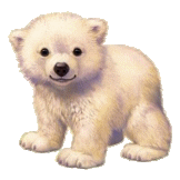 165-a-hele-2-5-8.gif 165-a-hele-2-5-8.gif