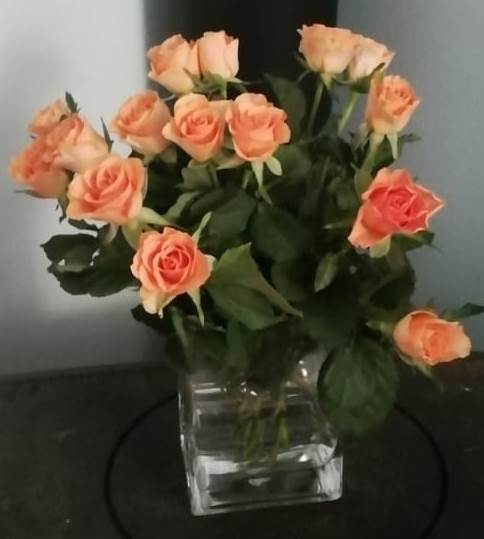 img-20190615.jpg img-20190615.jpg