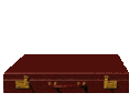 gify/kufr.gif gify/kufr.gif