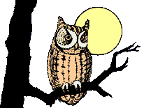 gify/sova.gif gify/sova.gif